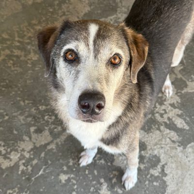 WhatsApp Image 2025-06-29 at 15.15.09 (3)