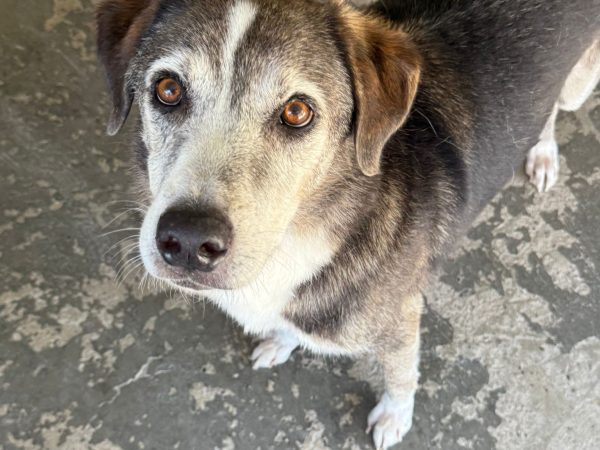 WhatsApp Image 2025-06-29 at 15.15.09 (4)