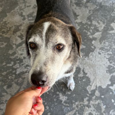 WhatsApp Image 2025-06-29 at 15.15.09