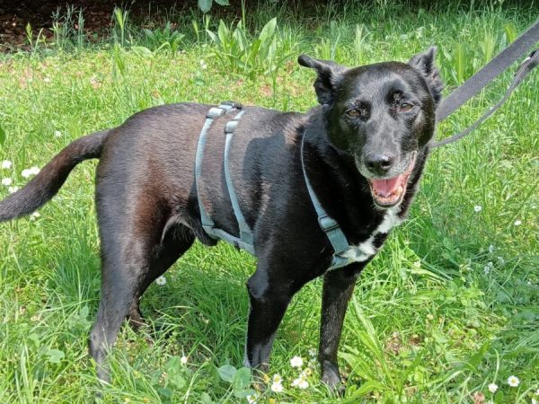 WhatsApp Image 2025-08-28 at 08.28.25