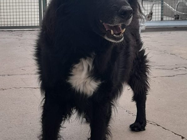 WhatsApp Image 2025-08-28 at 20.10.53 (1)