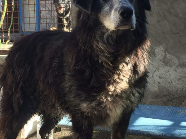 WhatsApp Image 2025-08-28 at 20.10.53