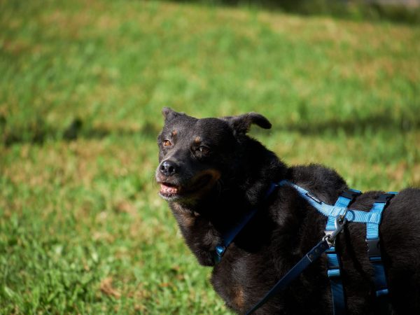 WhatsApp Image 2025-08-28 at 20.52.51