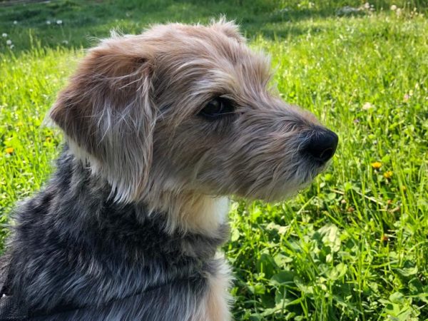 WhatsApp Image 2025-09-14 at 23.00.22 (1)