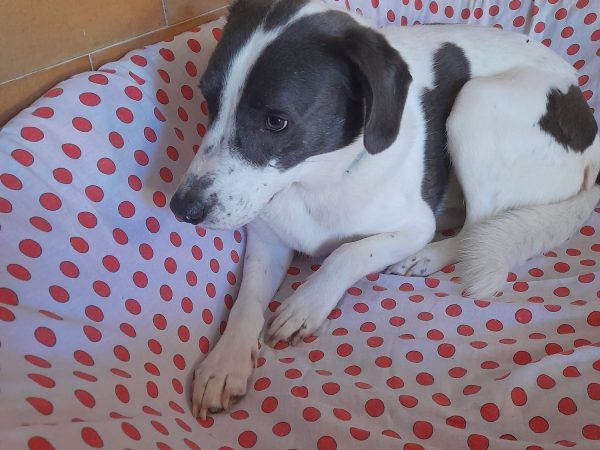 WhatsApp Image 2025-09-14 at 23.00.22 (2)