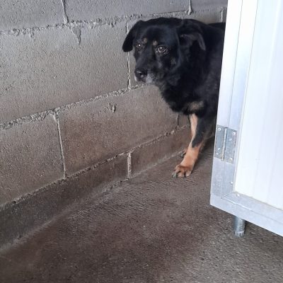 WhatsApp Image 2025-09-14 at 23.00.22