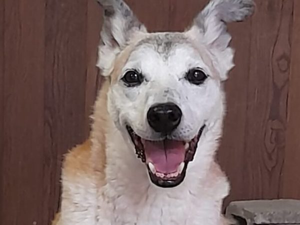 WhatsApp Image 2025-09-14 at 23.00.23 (1)