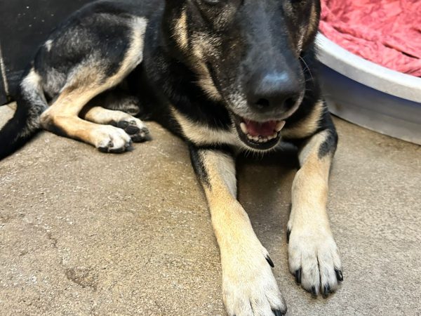 WhatsApp Image 2025-09-18 at 19.03.32