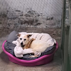 WhatsApp Image 2025-10-30 at 13.33.07