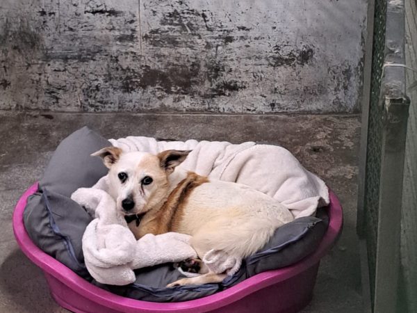 WhatsApp Image 2025-10-30 at 13.33.07