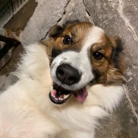 WhatsApp Image 2025-11-06 at 14.21.21