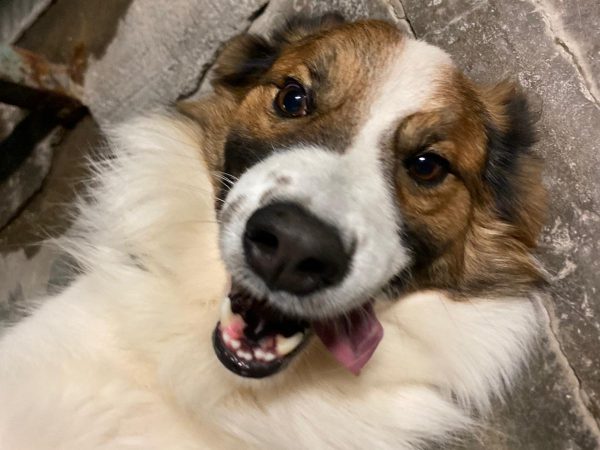 WhatsApp Image 2025-11-06 at 14.21.21