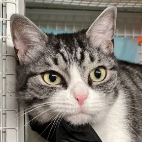 WhatsApp Image 2025-11-15 at 18.01.41