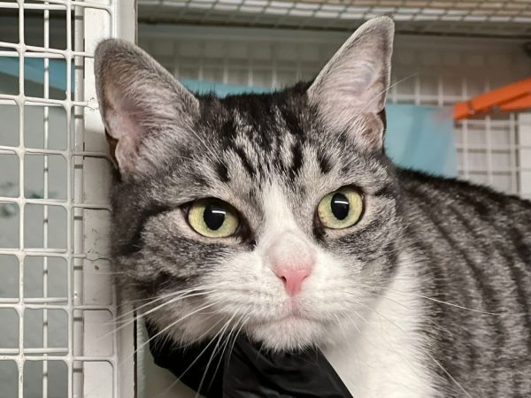 WhatsApp Image 2025-11-15 at 18.01.41