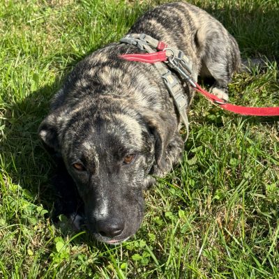 WhatsApp Image 2025-11-16 at 23.49.17 (1)