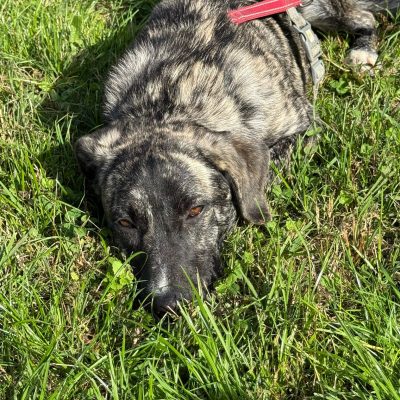 WhatsApp Image 2025-11-16 at 23.49.17