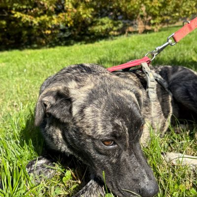 WhatsApp Image 2025-11-16 at 23.49.18 (1)