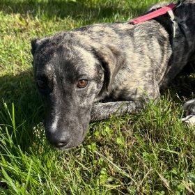 WhatsApp Image 2025-11-16 at 23.49.18