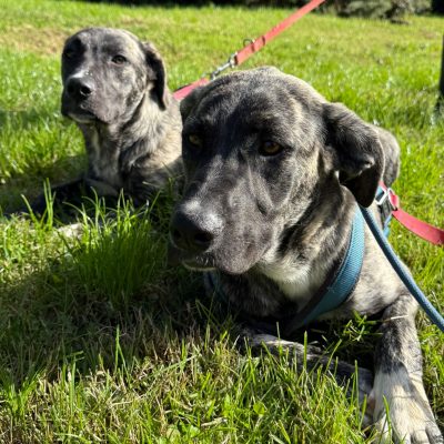 WhatsApp Image 2025-11-16 at 23.49.19 (1)