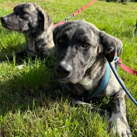 WhatsApp Image 2025-11-16 at 23.49.19 (2)