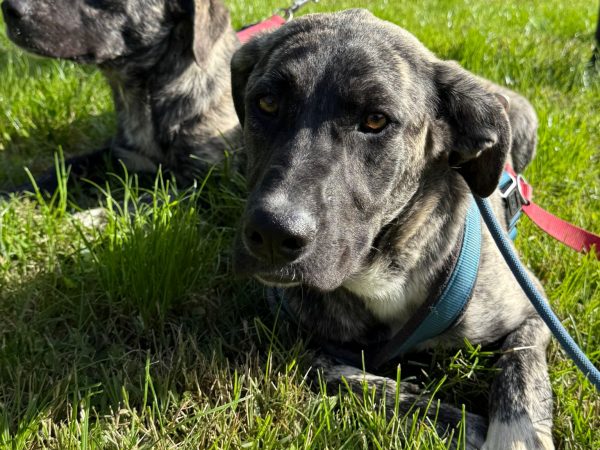 WhatsApp Image 2025-11-16 at 23.49.19 (2)