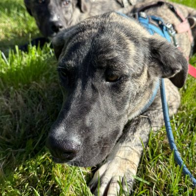 WhatsApp Image 2025-11-16 at 23.49.19 (3)