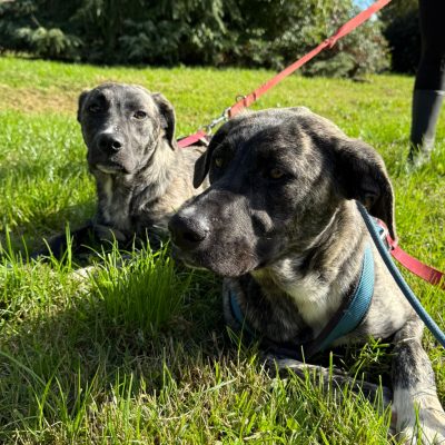 WhatsApp Image 2025-11-16 at 23.49.19