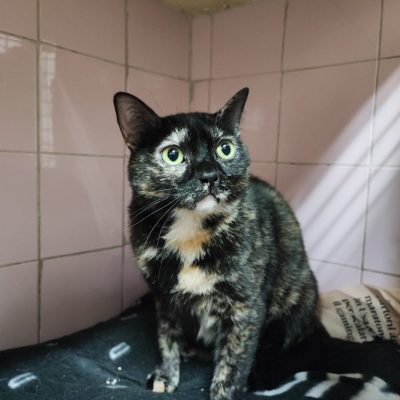 WhatsApp Image 2025-11-29 at 19.16.26