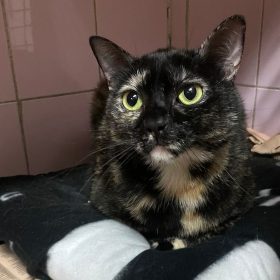 WhatsApp Image 2025-11-29 at 20.13.54