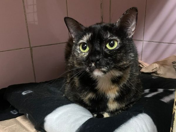 WhatsApp Image 2025-11-29 at 20.13.54