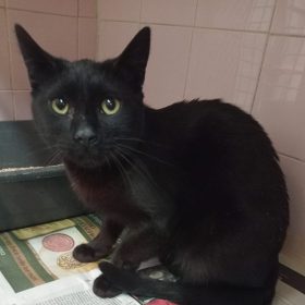 WhatsApp Image 2025-11-30 at 12.22.05 (1)