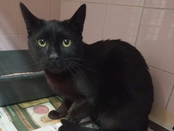 WhatsApp Image 2025-11-30 at 12.22.05 (1)