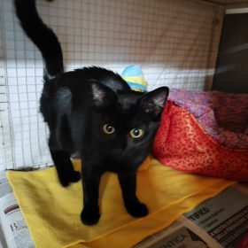 WhatsApp Image 2025-12-01 at 00.19.05