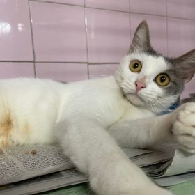 WhatsApp Image 2025-12-04 at 12.02.05