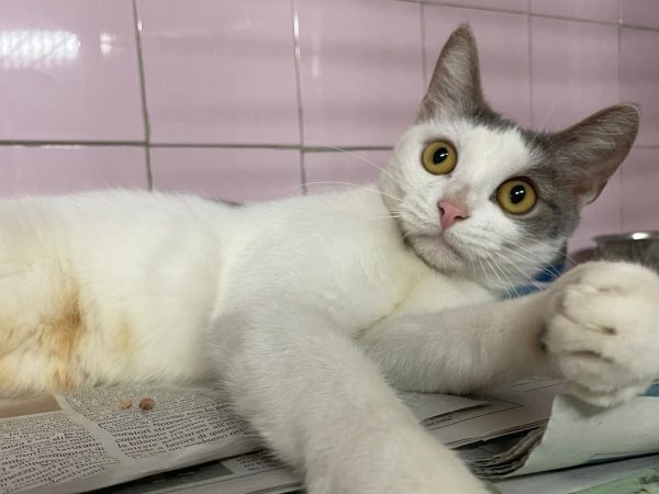 WhatsApp Image 2025-12-04 at 12.02.05