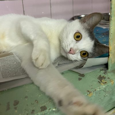 WhatsApp Image 2025-12-04 at 12.02.06