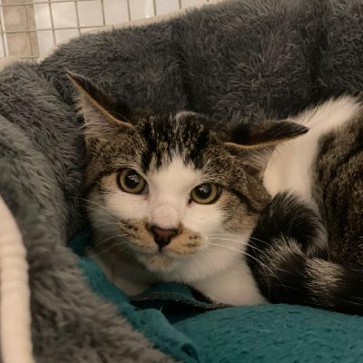 WhatsApp Image 2025-12-04 at 12.15.15 (1)