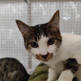 WhatsApp Image 2025-12-04 at 12.15.15 (2)