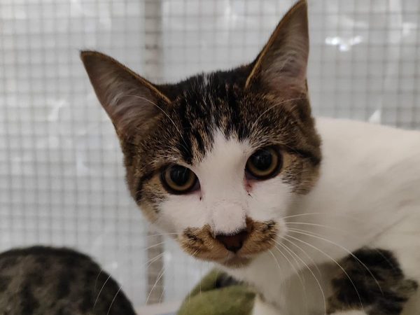 WhatsApp Image 2025-12-04 at 12.15.15 (2)