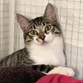 WhatsApp Image 2025-12-04 at 12.15.15