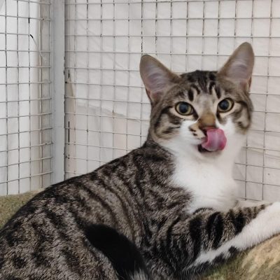 WhatsApp Image 2025-12-04 at 12.15.16