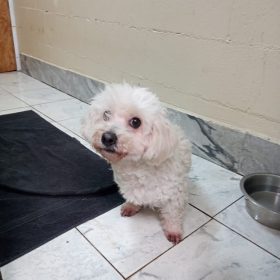 WhatsApp Image 2025-12-06 at 15.13.51