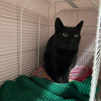 WhatsApp Image 2025-12-06 at 18.02.07 (1)