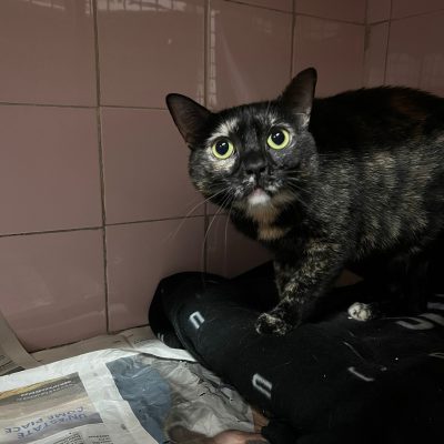 WhatsApp Image 2025-12-06 at 18.02.08 (2)