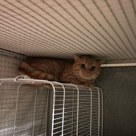 WhatsApp Image 2025-12-06 at 18.02.08 (4)