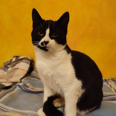 WhatsApp Image 2025-12-07 at 09.22.15