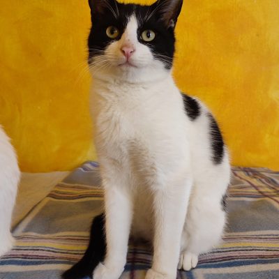 WhatsApp Image 2025-12-07 at 09.22.43