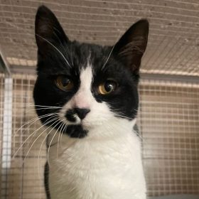 WhatsApp Image 2025-12-07 at 18.09.15