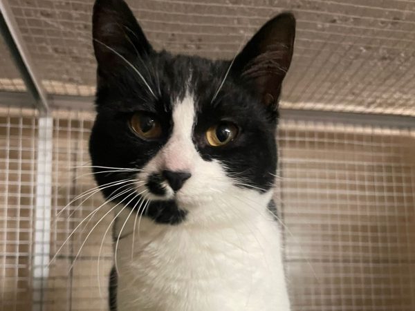 WhatsApp Image 2025-12-07 at 18.09.15