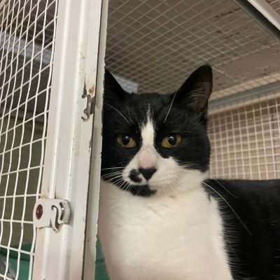 WhatsApp Image 2025-12-07 at 18.09.16 (1)